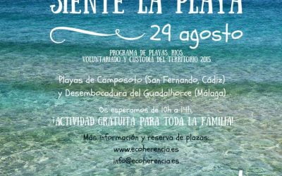Siente la Playa: 29 agosto