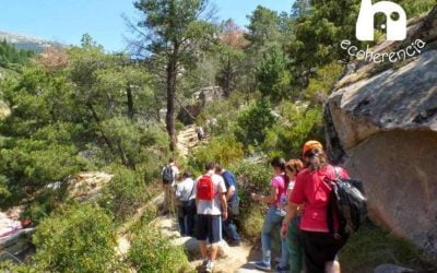 Responsabilidad Social Corporativa con Ecoherencia