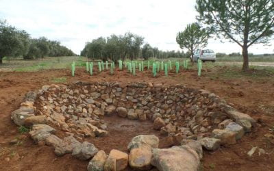 Construcción de una charca para anfibios bajo la figura de la custodia del territorio