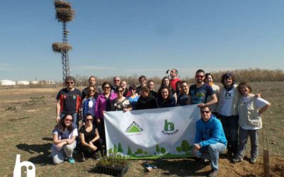 Reforestación en el Caserío del Henares con Leroy Merlin
