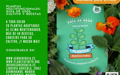 Próximos eventos PlaM en Málaga