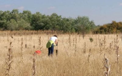 Jornada de Voluntariado de Leroy Merlin en Madrid