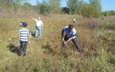 Jornada de Voluntariado de Leroy Merlín en Sevilla