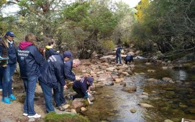 Día Internacional del Voluntariado de Telefónica