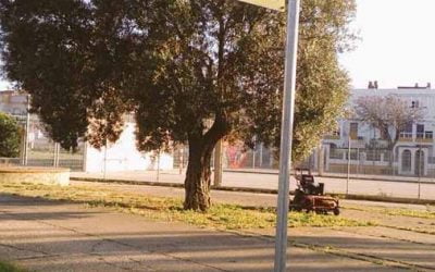 Jornadas de demostración de Pedibuses del proyecto “Camino al Colegio, Camino Amable y Seguro”