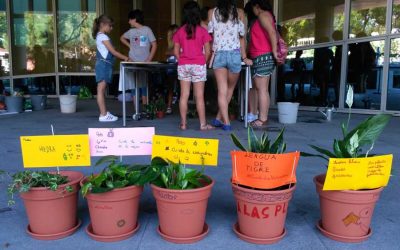 Plantas purificadoras y huerto urbano en el Family Day de Allianz Seguros