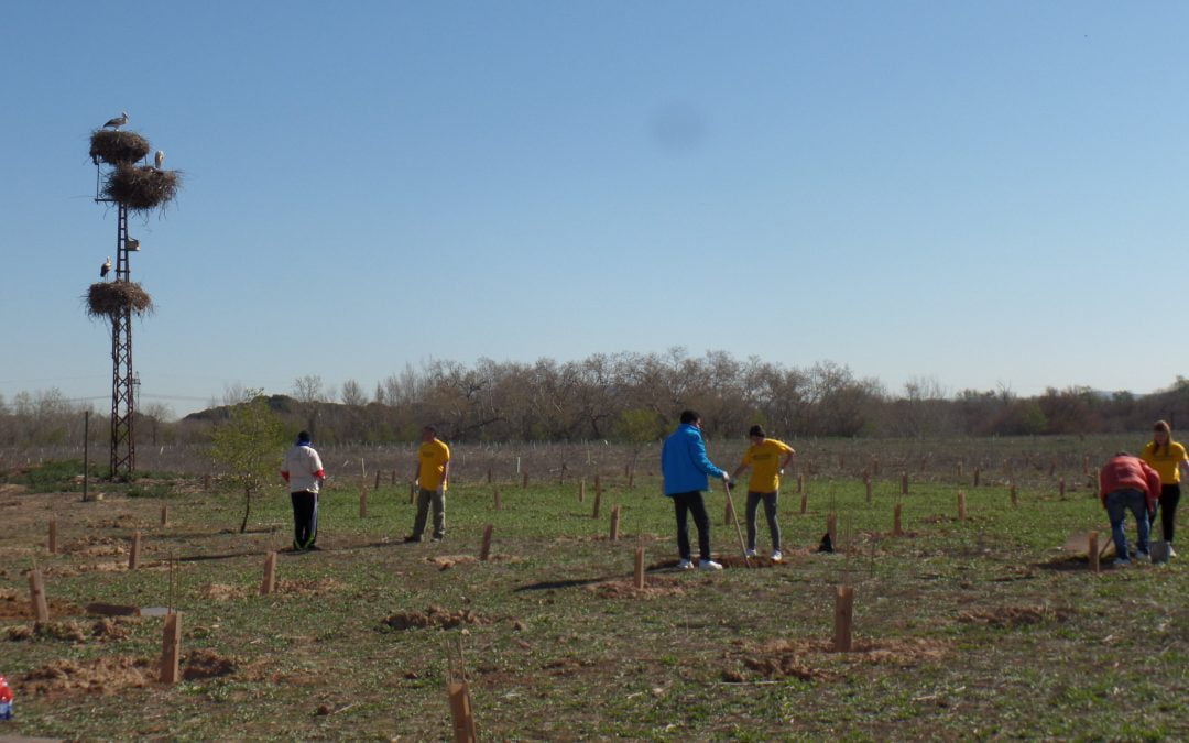 Conociendo y cuidando la naturaleza con la Fundación Deporte y Desafío