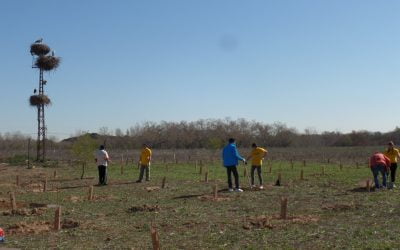 Conociendo y cuidando la naturaleza con la Fundación Deporte y Desafío