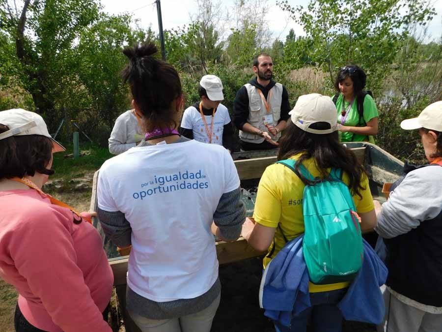 Huerto ecológico en El Campillo con OHL, la Fundación Randstad y Dinama
