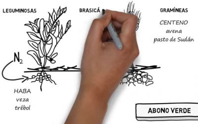 Día Internacional de la Permacultura 2015