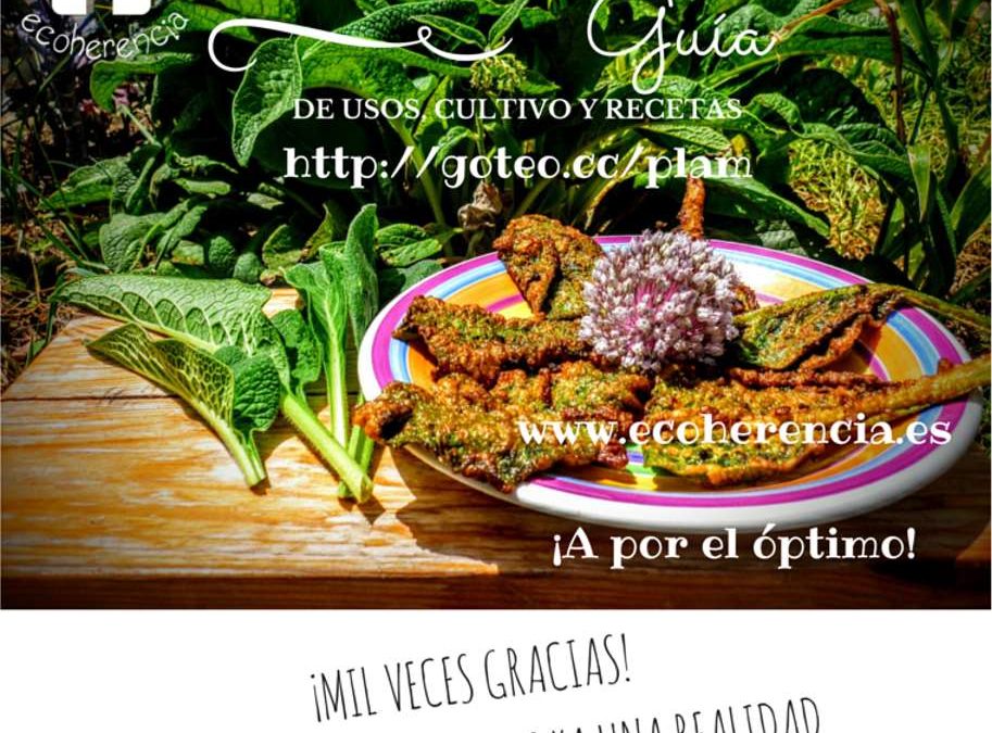 Gracias por hacer realidad este sueño