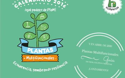 ¡Pedazo de PlaM para 2016!