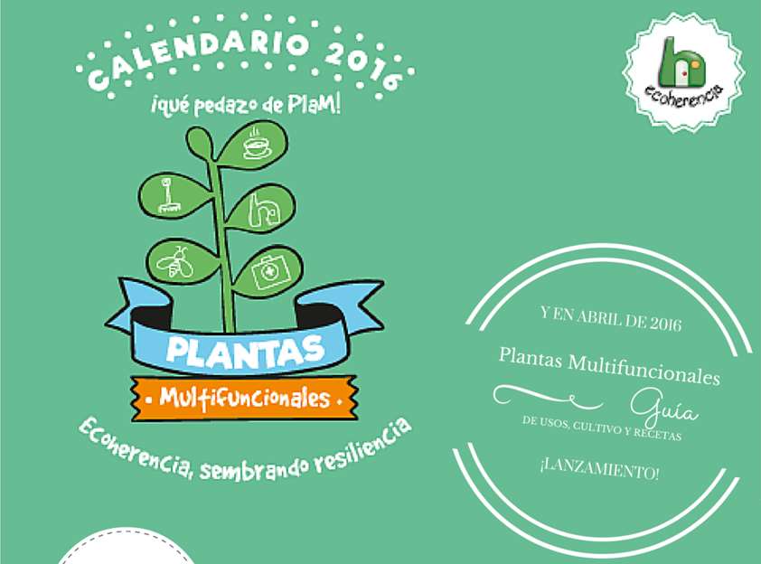 ¡Pedazo de PlaM para 2016!
