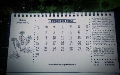 Febrero, ¡Pedazo de PlaM!