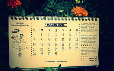 Marzo, ¡Pedazo de PlaM!