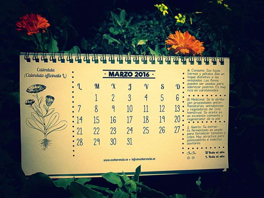 Marzo, ¡Pedazo de PlaM!