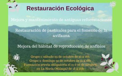 Voluntariado de Restauración Ecológica en la Sierra de las Nieves (Málaga)