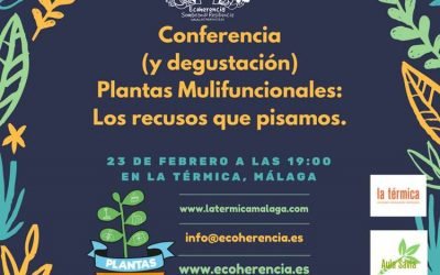 Talleres de PlaM y permacultura en La Térmica (Málaga)