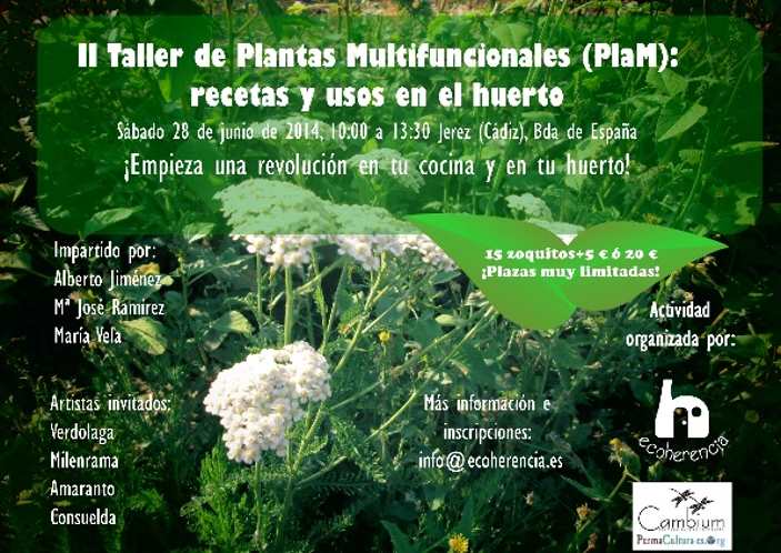 28 junio: II Taller de PlaM – recetas y usos en el huerto