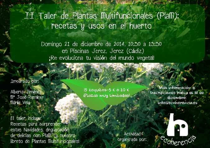 ¡Vuelve nuestro Taller de Plantas Multifuncionales!
