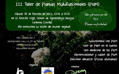 28 febrero: III Taller de PlaM – Re-evoluciona tu visión del mundo vegetal