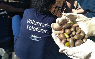Celebramos el 15 aniversario del programa Día Internacional del Voluntariado de Telefónica con actividades en Madrid y Barcelona