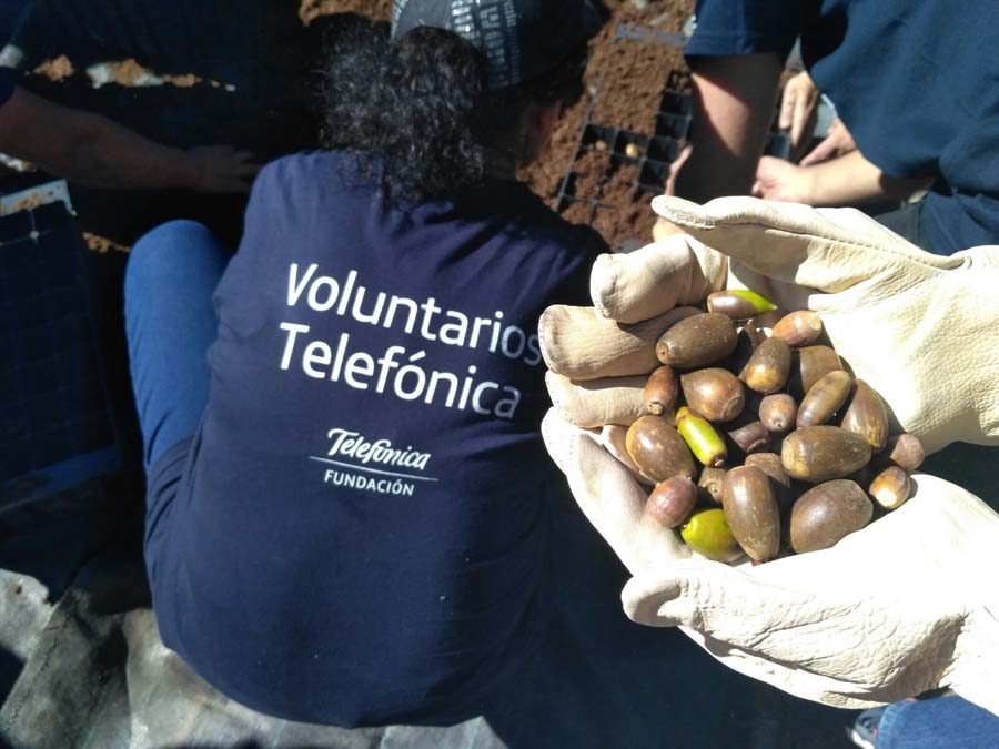 Celebramos el 15 aniversario del programa Día Internacional del Voluntariado de Telefónica con actividades en Madrid y Barcelona