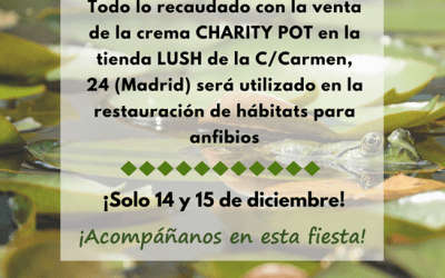 Ven a la Charity Party de Lush y Ecoherencia en Madrid y colabora con nosotros