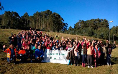 El bosque Alcoa