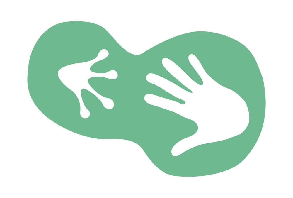 Restauración de Ecosistemas y participación ciudadana: creación de charcas para anfibios