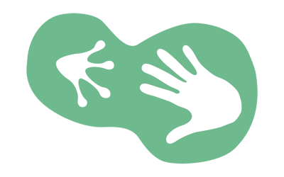 Restauración de Ecosistemas y participación ciudadana: creación de charcas para anfibios