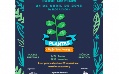 Taller de PlaM (Plantas Multifuncionales) organizado por La Reverde e impartido por Ecoherencia