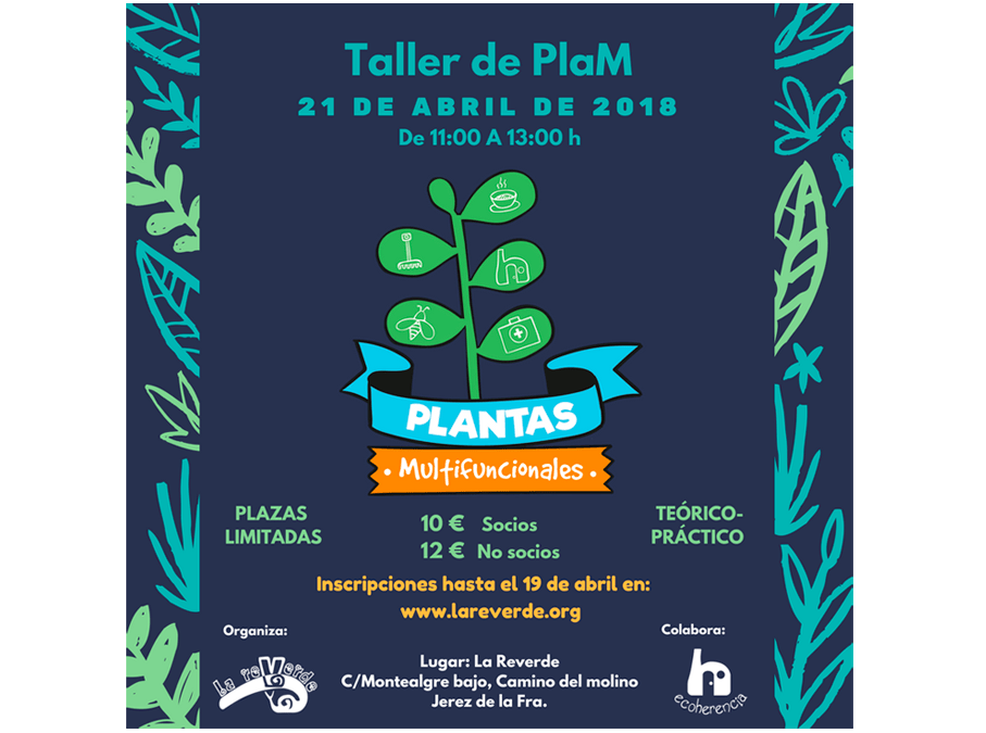 Taller de PlaM (Plantas Multifuncionales) organizado por La Reverde e impartido por Ecoherencia