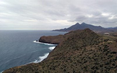 Recuperación del hábitat del azufaifo en Cabo de Gata