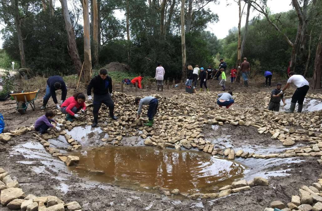 Restauración de Ecosistemas y participación ciudadana: construcción de seis charcas para anfibios