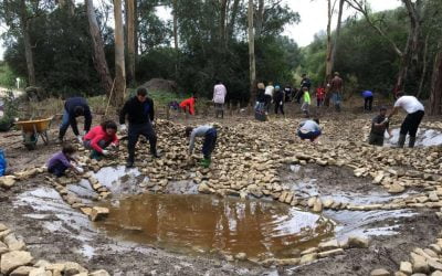 Restauración de Ecosistemas y participación ciudadana: construcción de seis charcas para anfibios