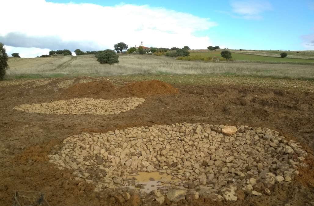 Restauración de Ecosistemas y participación ciudadana: construcción de dos charcas para anfibios en Castellar de Santiago