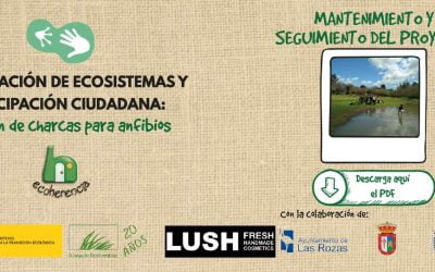Mantenimiento y seguimiento – Octava entrega del proyecto de Creación de charcas para anfibios