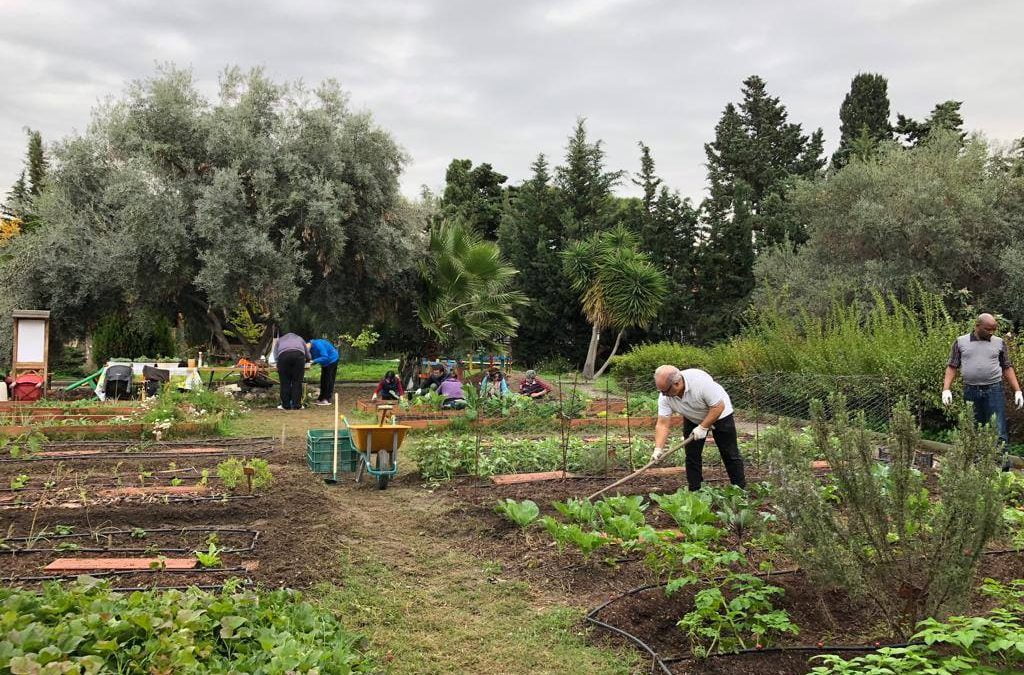 Vives Aprendes: Agroecología y huertos urbanos