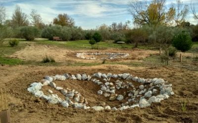 Construcción de charcas para anfibios y participación ciudadana de más de 200 personas