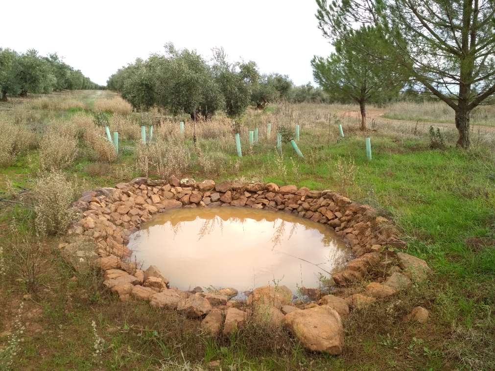 Se hace necesario, por tanto, contribuir a la resiliencia de los ecosistemas y de la fauna