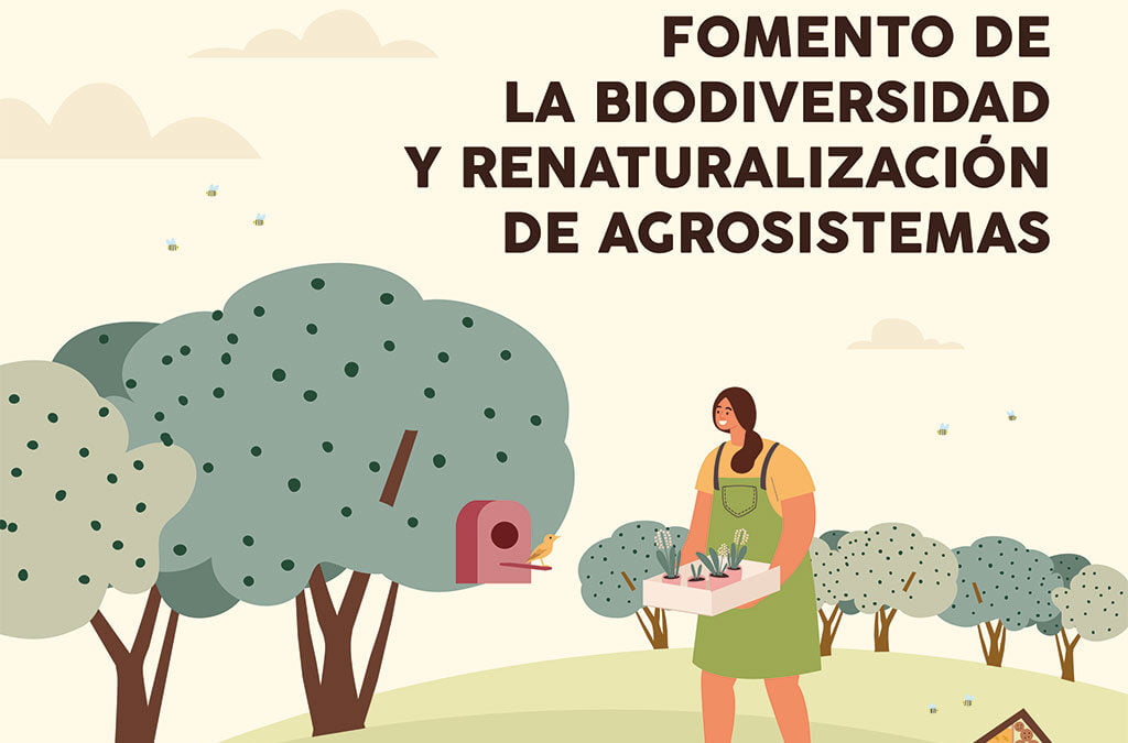 Ecoherencia impulsa la biodiversidad en un olivar en producción del Campo de Montiel