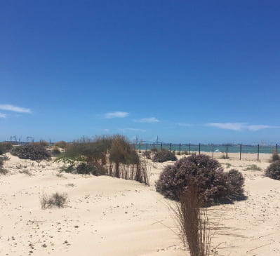 Ecoherencia es una sociedad cooperativa de trabajo sin ánimo de lucro que tiene como objetivo principal ser fuente de inspiración para la acción ante la emergencia climática Ecoherencia es una sociedad cooperativa de trabajo sin ánimo de lucro que tiene como objetivo principal ser fuente de inspiración para la acción ante la emergencia climática