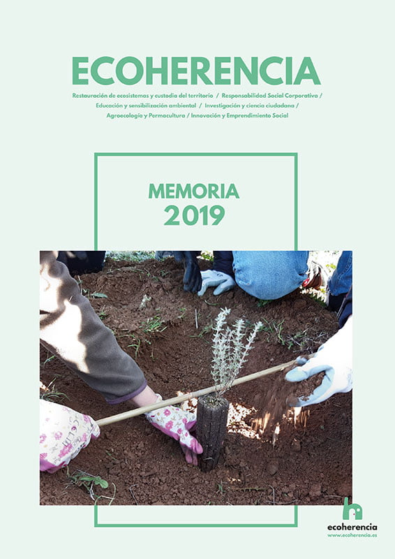 Memoria anual de Ecoherencia 2019