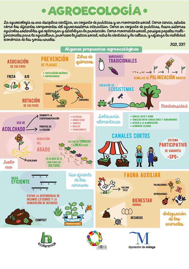 Agroecología: Infografía con propuestas agroecológicas