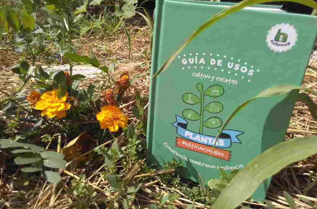Plantas Multifuncionales