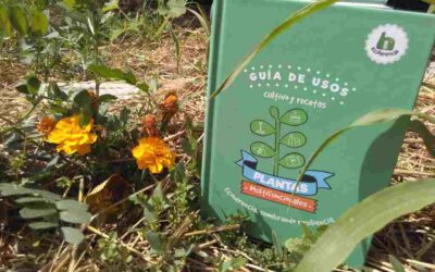 Plantas Multifuncionales