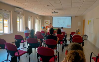 Resumen informativo del análisis sobre campañas de microfinanciación