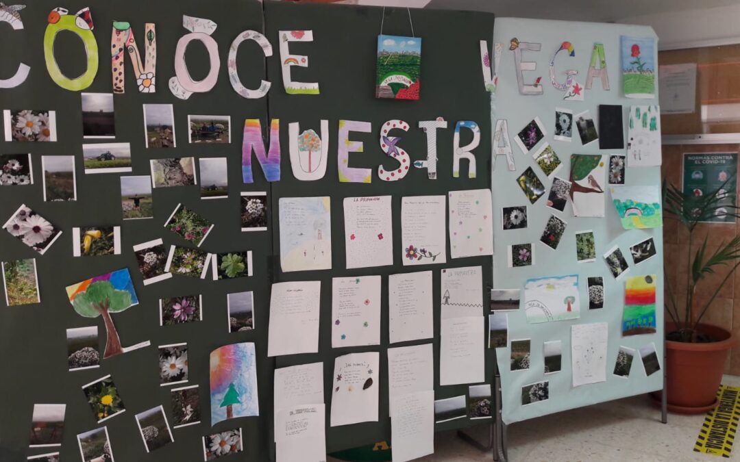 El IES Gerald Brenan de Alhaurín de la Torre, ganador de la campaña «Emergencia climática ¡Cambia por el clima!»