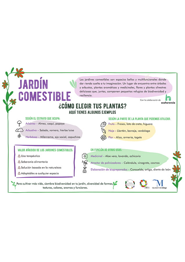 Jardín comestible: cómo elegir plantas